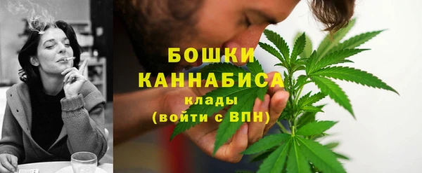 PSILOCYBIN Абдулино