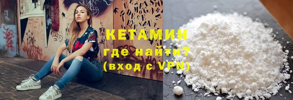 сатива Няндома