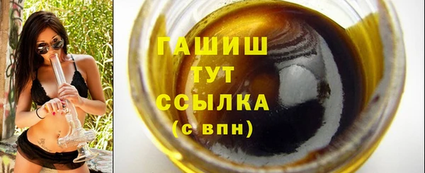 сатива Няндома